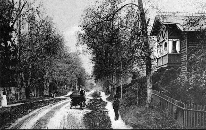 Дача под СПетербургом Великий князь Николай Николаевич - фото 35