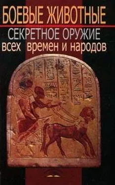 В. Пономарев Боевые животные: Секретное оружие всех времен и народов обложка книги