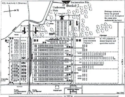 План лагеря для военнопленных Биркенау в июне 1944 г с предполагаемым - фото 3