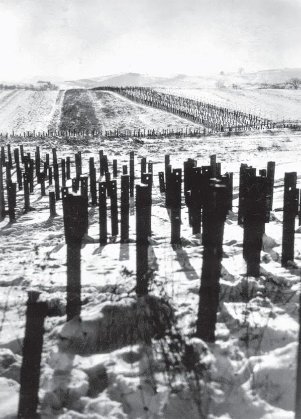 Линия Мажино 1939 3 Между тем Германия активно проводила свою Польскую - фото 300