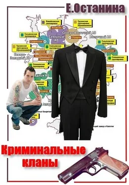 Екатерина Останина Криминальные кланы обложка книги