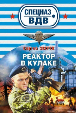 Сергей Зверев Реактор в кулаке обложка книги