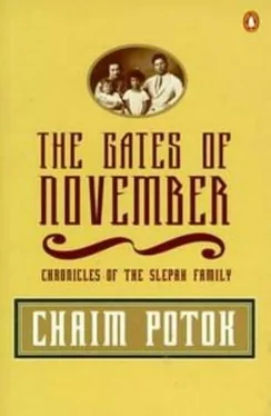 Chaim Potok The Gates of November обложка книги