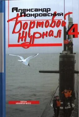 Александр Покровский Бортовой журнал 4 обложка книги