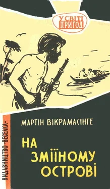 Мартин Викрамасинге На Зміїному острові обложка книги