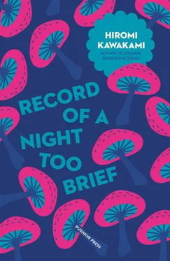 Хироми Каваками Record of a Night Too Brief обложка книги