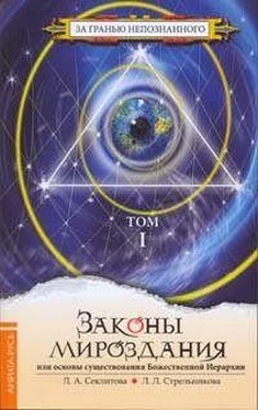 Лариса Секлитова Законы Мироздания или основы существования Божественной Иерархии. Том 1 обложка книги