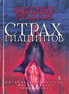 Филип Ридли Рассказы обложка книги