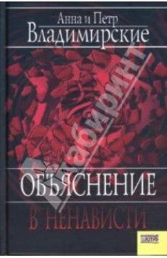 Петр Владимирский Объяснение в ненависти обложка книги