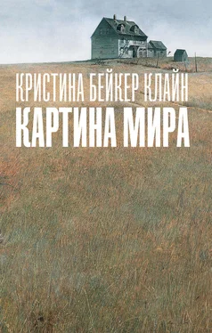 Кристина Клайн Картина мира обложка книги