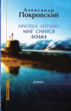 Александр Покровский Иногда ночью мне снится лодка обложка книги