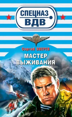 Сергей Зверев Мастер выживания обложка книги