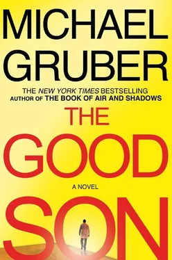 Michael Gruber The Good Son обложка книги