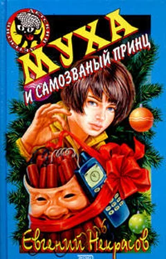 Евгений Некрасов Муха и самозванный принц обложка книги