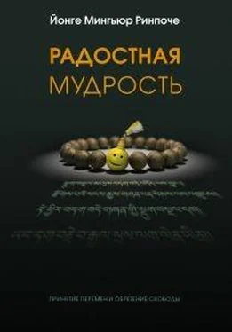 Йонге Мингьюр Радостная мудрость, принятие перемен и обретение свободы обложка книги