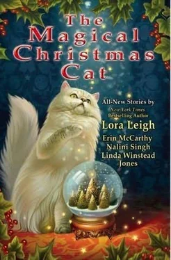 Nalini Singh The Magical Christmas Cat обложка книги