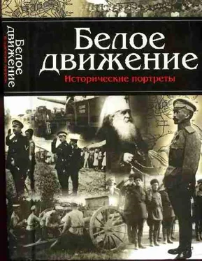 А. Кручинин Белое движение. Исторические портреты обложка книги