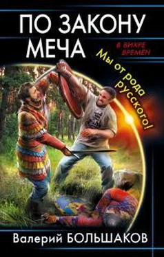 Валерий Большаков По закону меча. Мы от рода русского! обложка книги