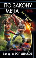 Валерий Большаков - По закону меча. Мы от рода русского!