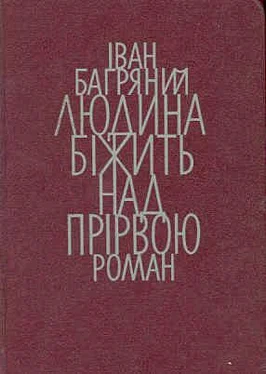Іван Багряний Людина біжить над прірвою обложка книги