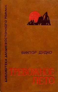 Виктор Дудко Тревожное лето обложка книги