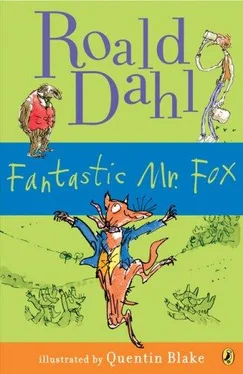 Roald Dahl Fantastic Mr Fox обложка книги