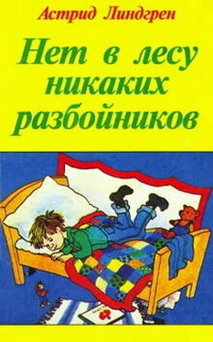 Астрид Линдгрен Смоландский тореадор обложка книги