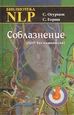 Сергей Горин Соблазнение обложка книги