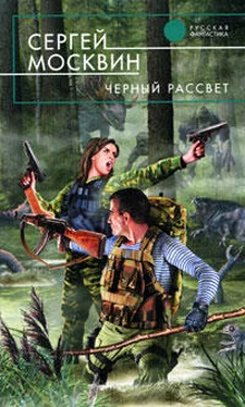 Сергей Москвин Черный рассвет обложка книги