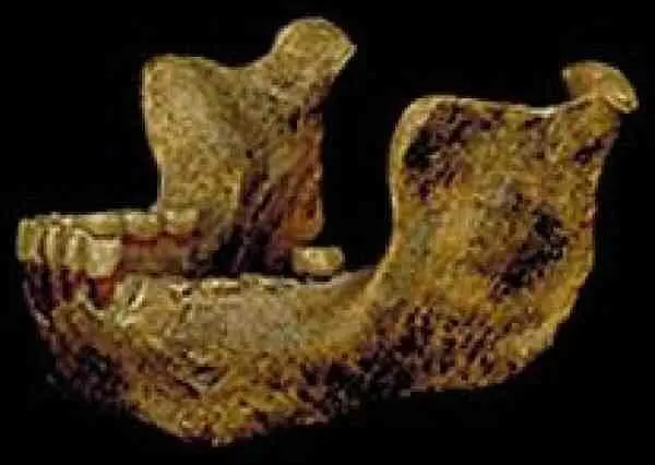 Гейдельбергская челюсть Челюсть многое объясняла Тогда же в Англии была - фото 3
