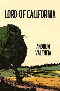 Andrew Valencia Lord of California обложка книги