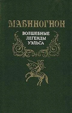 Автор неизвестен Мабиногион обложка книги