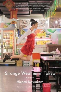 Хироми Каваками Strange Weather in Tokyo [= The Briefcase] обложка книги