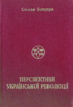 Степан Бандера Перспективи Української Революції обложка книги