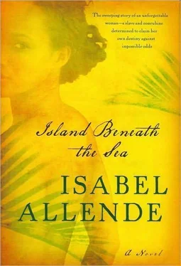 Isabel Allende Island Beneath the Sea обложка книги