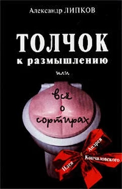 Александр Липков Толчок к размышлению, или Все о сортирах обложка книги