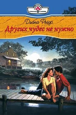 Диана Рейдо Других чудес не нужно обложка книги