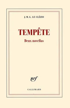 Jean-Marie Le Clézio Tempête. Deux novellas обложка книги