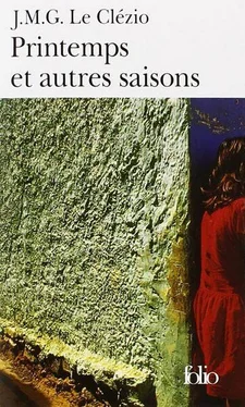 Jean-Marie Le Clézio Printemps et autres saisons обложка книги