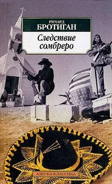 Ричард Бротиган Следствие сомбреро обложка книги