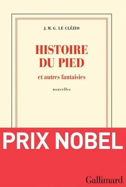 Jean-Marie Le Clézio Histoire du pied et autres fantaisies обложка книги