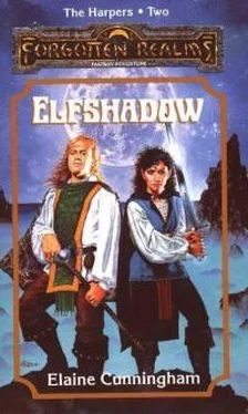 Элейн Каннингем Elfshadow обложка книги