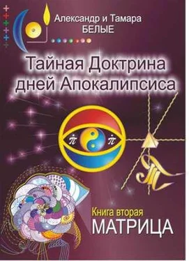 Александр Белый Тайная Доктрина дней Апокалипсиса. Книга 2. Матрица обложка книги