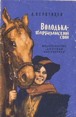 Аркадий Первенцев Володька — партизанский сын обложка книги