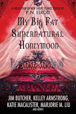 Kelley Armstrong My Big Fat Supernatural Honeymoon обложка книги