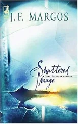 J. Margos - Shattered Image