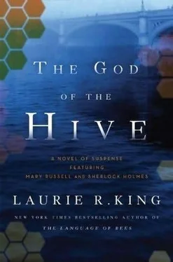 Laurie King The God of the Hive обложка книги