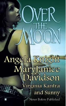 Angela Knight Over The Moon обложка книги