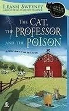 Leann Sweeney The Cat, The Professor and the Poison обложка книги