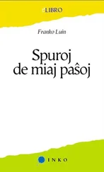Franko Luin - Spuroj de miaj pasxoj